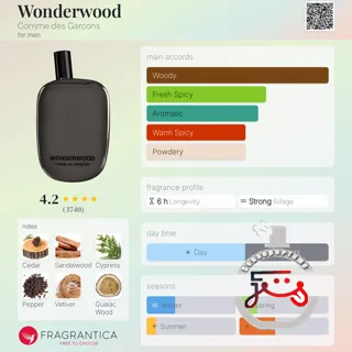 Wonderwood Comme des Garcons